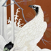 Torazo Hattori Gallery